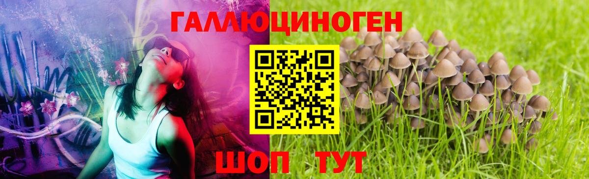 Ишимбай  Галлюциногенные грибы прущие грибы  Вход с VPN 